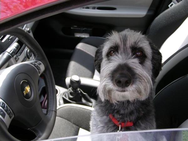 /Images/uploads/Humane Society of Utah/HSUCalendar/entries/1252thumb.jpg
